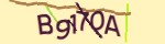 Mã bảo mật